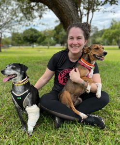 Bazar solidário na Asa Norte terá peças a partir de R$ 5 para ajudar animais resgatados no DF pelo projeto “Animalis”