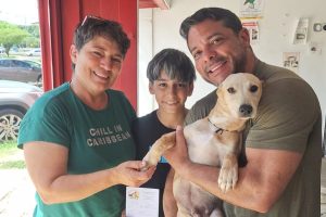 Feira de adoção no DF mobiliza comerciantes e abrigo para dar nova chance a animais resgatados