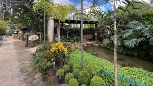No dia 10/04, happy hour com música ao vivo movimenta a Vila Canarinho no Espaço Aroeira, no Lago Norte