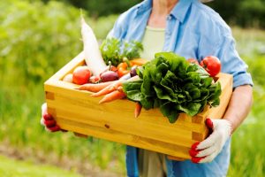 Dia Mundial da Saúde reforça importância de hábitos alimentares mais saudáveis e conscientes