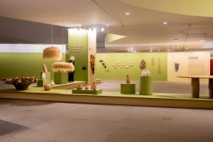 BDW 2026 destaca o tema “Design que Conecta Territórios” e amplia atuação da economia criativa no DF
