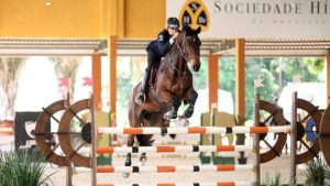 XXXVIII Concurso de Salto Coronel Rabelo movimenta o hipismo brasiliense no Regimento de Polícia Montada