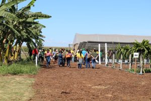 Espaço da Fruticultura da Emater-DF na AgroBrasília apresenta técnicas para ampliar renda