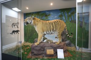 Museu de Ciências Naturais do Zoológico de Brasília é reaberto após reforma