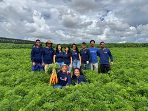 De trabalhadores rurais a proprietários que se tornaram referência na produção agrícola