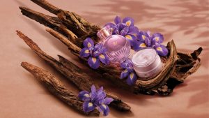 Com ingrediente raro da perfumaria internacional, O Boticário redefine o amadeirado feminino no lançamento de Liz D’Essence