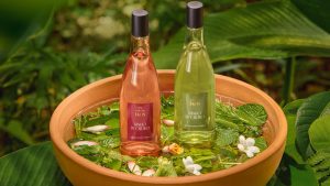Natura Ekos lança nova linha Banho de Cheiro como um convite a novos rituais de bem-estar