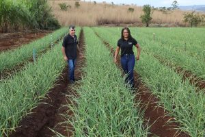 Do campo para a mesa: DF soma mais de 1,2 mil projetos e R$ 67 milhões em crédito rural desde 2019