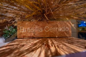 Exposição “Brasília Cerrado: Uma Ode à Seca” chega ao Manhattan Shopping com experiência inspirada na riqueza do bioma