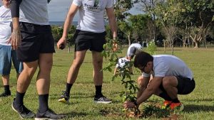Campanha une saúde respiratória e preservação ambiental com distribuição de sementes e plantio de árvores em Brasília