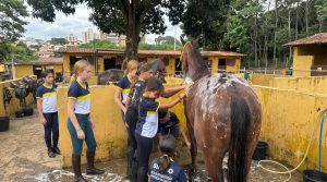 Centro Hípico do Parque oferece colônia de férias com atividades equestres para crianças de 5 a 14 anos