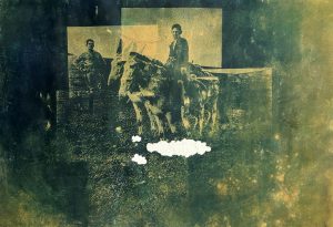 Em agosto, a Cerrado Cultural apresenta duas exposições inéditas