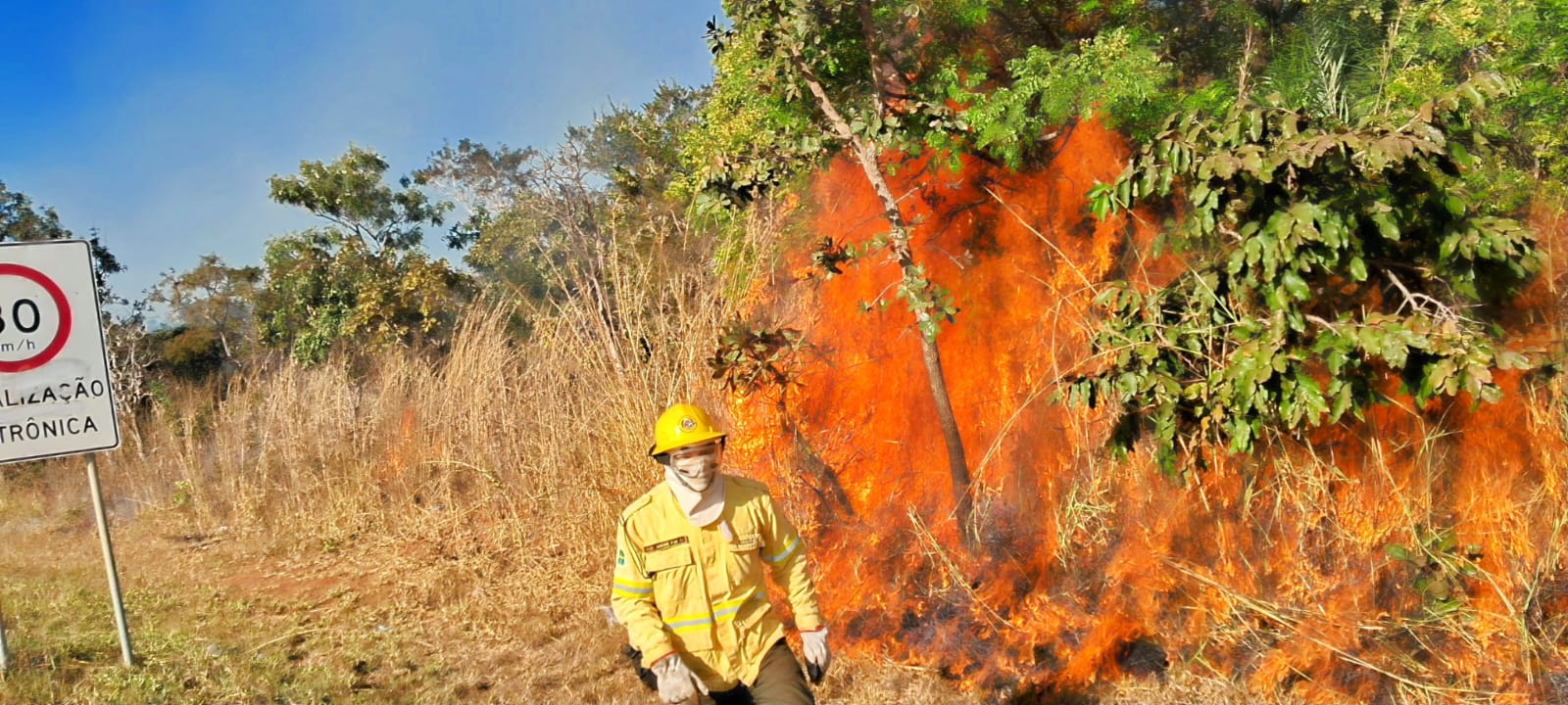 Saiba como agir caso um incêndio florestal se aproxime de residência