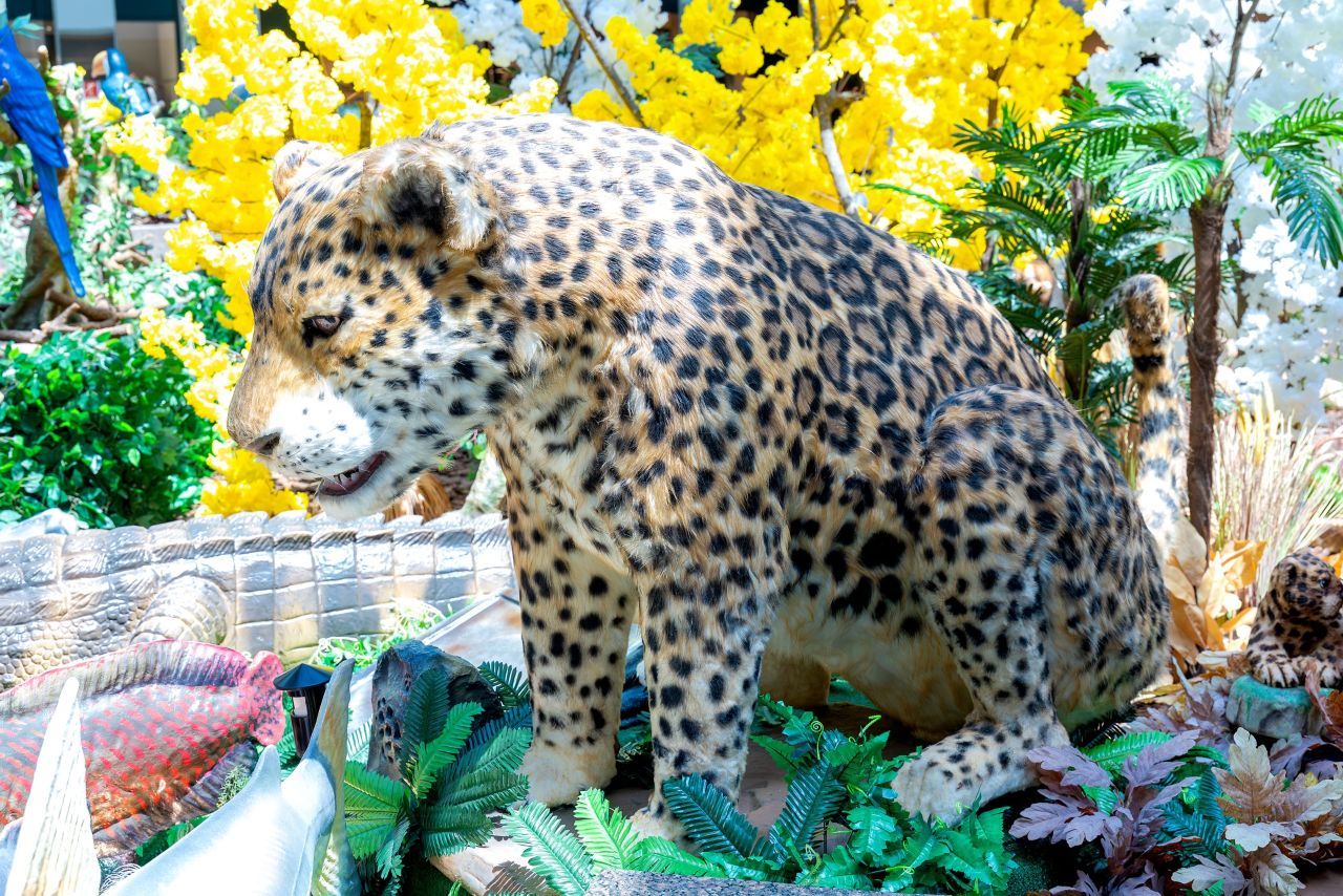Animais do Cerrado no Parkshopping