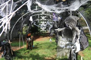 Halloween Noroeste chega à 7ª edição e reforça tradição de integração entre famílias em Brasília
