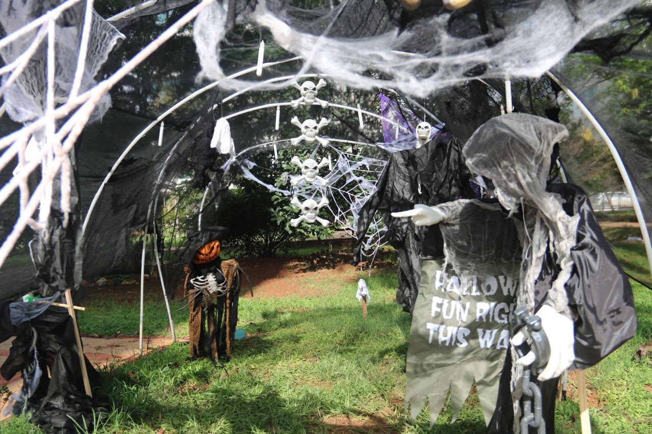 Halloween Noroeste chega à 7ª edição e reforça tradição de integração entre famílias em Brasília